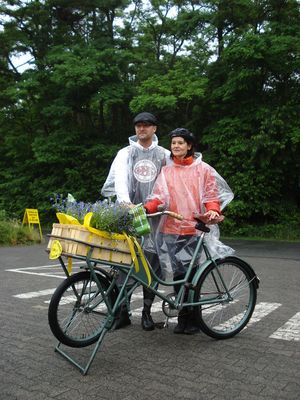 Datei: DSC03382.jpg; Breite: 300px; Höhe: 400px - Nur die Blumen freuten sich über das kühle Nass. 